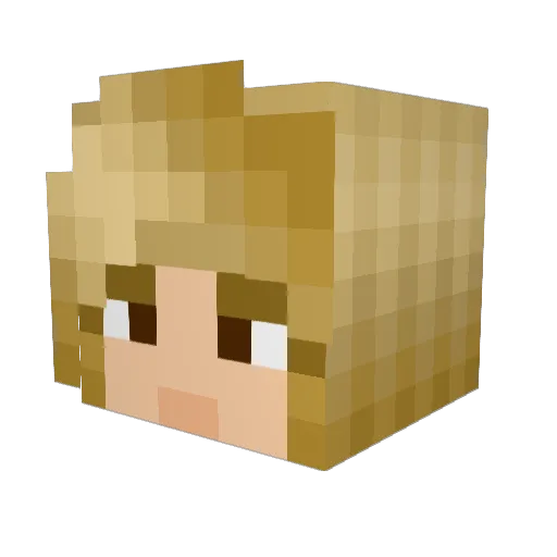 Ushes Minecraft avatar head, 3D render