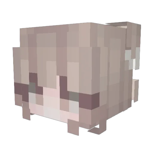Usih Minecraft avatar head, 3D render