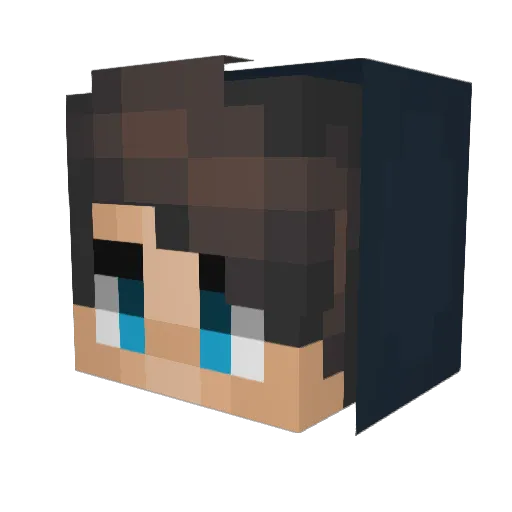 Using Minecraft avatar head, 3D render
