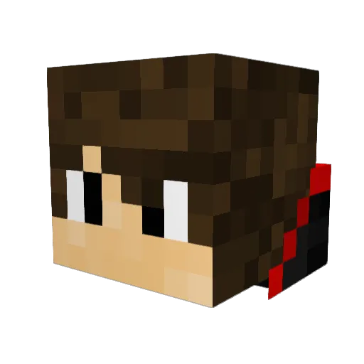 UsingLattice438 Minecraft avatar head, 3D render