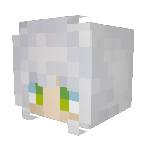 Usira1 Minecraft avatar head, 3D render