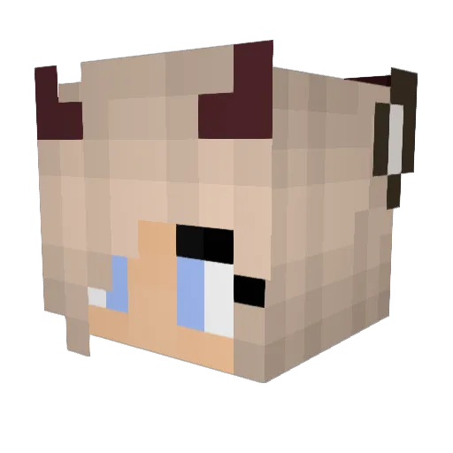 Uska_ Minecraft avatar head, 3D render