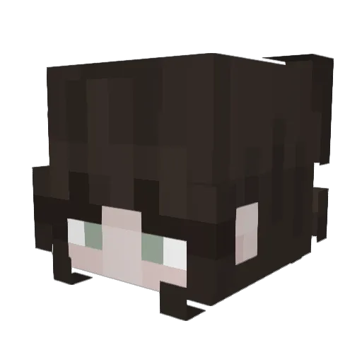 Uskoq Minecraft avatar head, 3D render