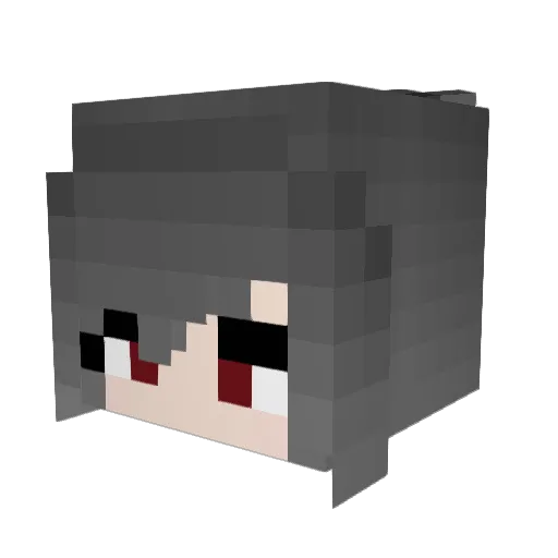 Usotuki317 Minecraft avatar head, 3D render