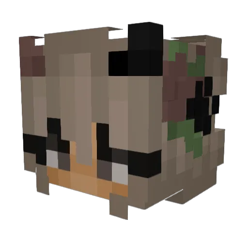 Ussername23 Minecraft avatar head, 3D render