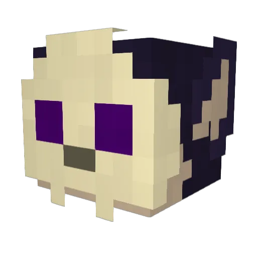 UsualPlumbot Minecraft avatar head, 3D render