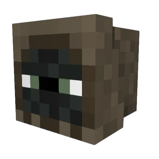 Usual_248 Minecraft avatar head, 3D render