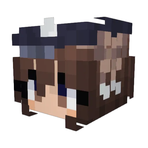 Usually1993 Minecraft avatar head, 3D render