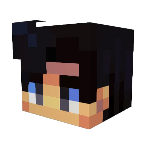 Usvaldo900 Minecraft avatar head, 3D render