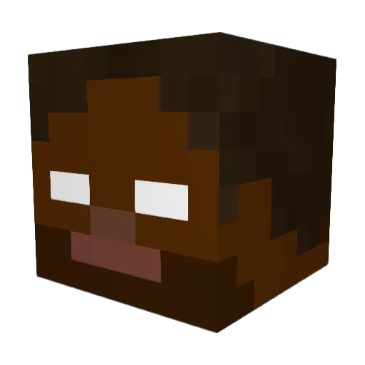 V00LKAN0 Minecraft avatar head, 3D render