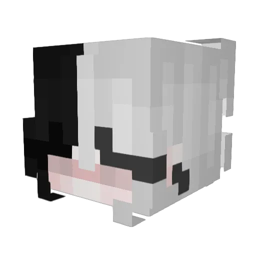 V01DZIN Minecraft avatar head, 3D render