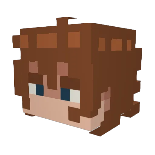 V0IDSA Minecraft avatar head, 3D render