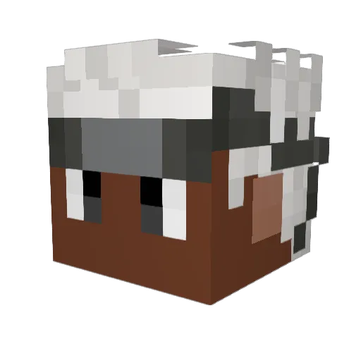V0IDSLAY3R Minecraft avatar head, 3D render