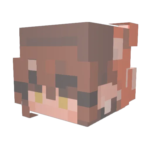 V0ID_stars Minecraft avatar head, 3D render