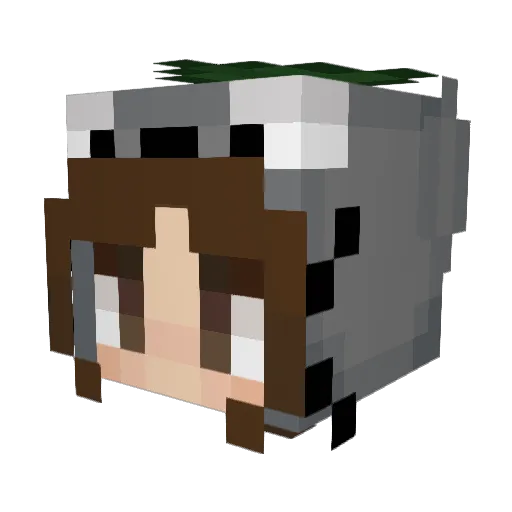 V0SHKI3 Minecraft avatar head, 3D render