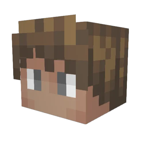 V0ice0fReas0n Minecraft avatar head, 3D render