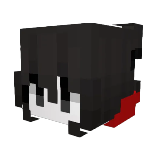 V0idDestroyer Minecraft avatar head, 3D render