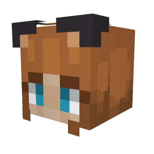 V0idedChip Minecraft avatar head, 3D render