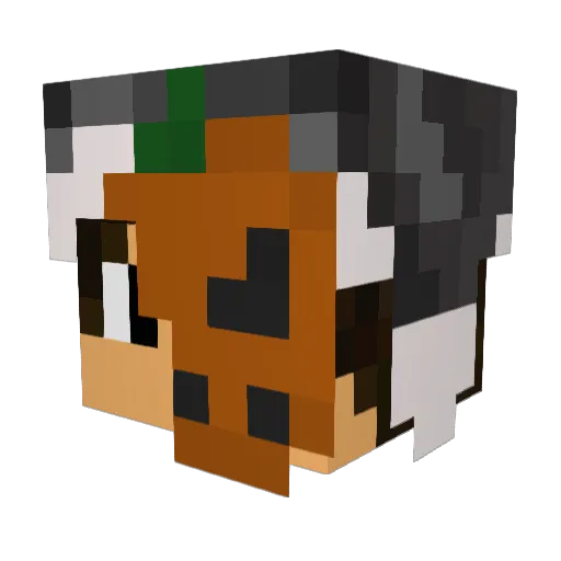 V0rt3xGD Minecraft avatar head, 3D render