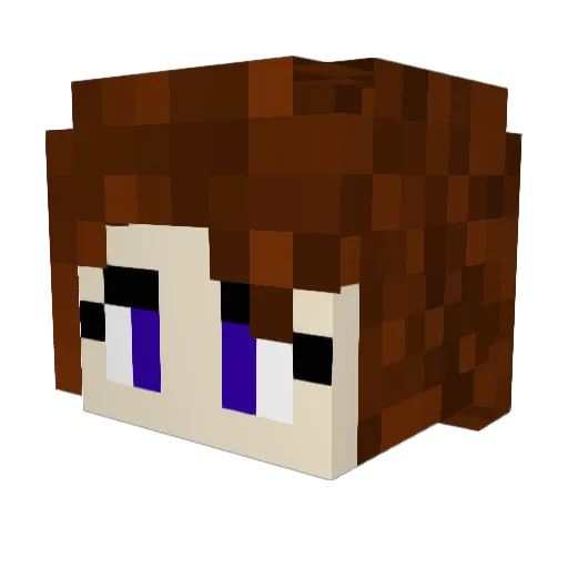 V1besBased25 Minecraft avatar head, 3D render