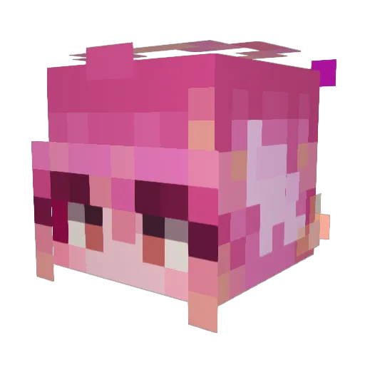 V1nomial Minecraft avatar head, 3D render