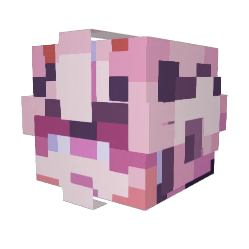 V1star Minecraft avatar head, 3D render