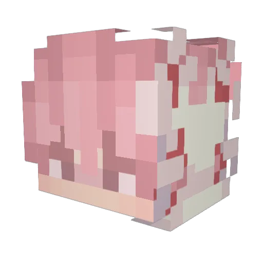 V1xerr Minecraft avatar head, 3D render
