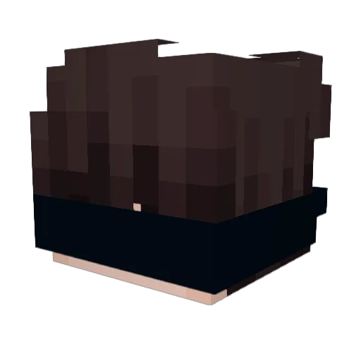 V3CT0R___ Minecraft avatar head, 3D render