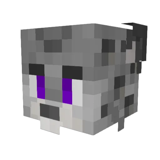V3naliz3 Minecraft avatar head, 3D render