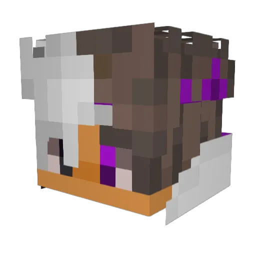 V4LD3_ Minecraft avatar head, 3D render