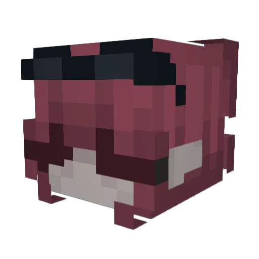 V4nna13 Minecraft avatar head, 3D render