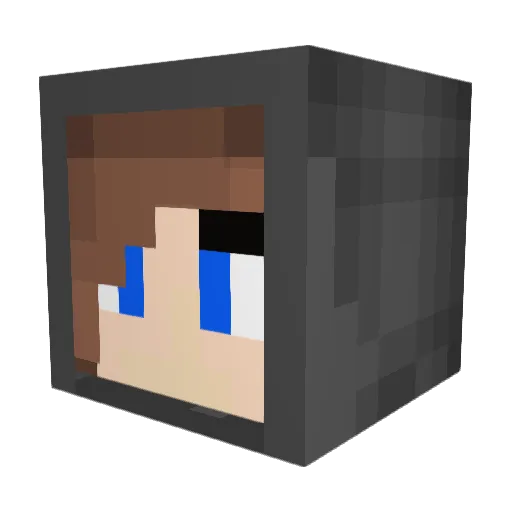 V4ns10n Minecraft avatar head, 3D render