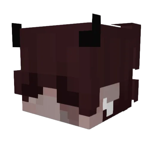 V4tryx Minecraft avatar head, 3D render