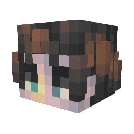 V9_Crizzly Minecraft avatar head, 3D render