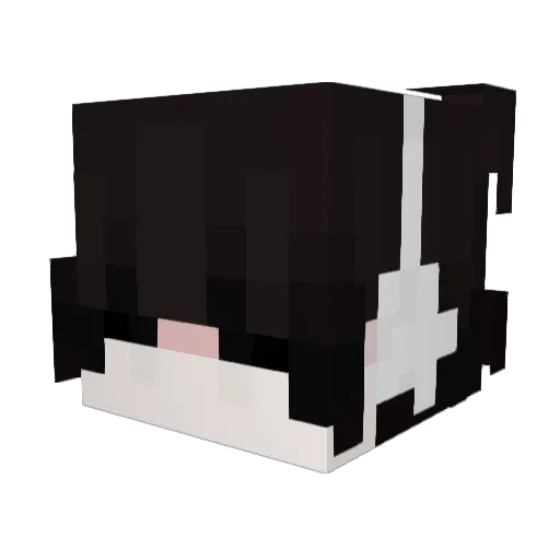 VAA2 Minecraft avatar head, 3D render