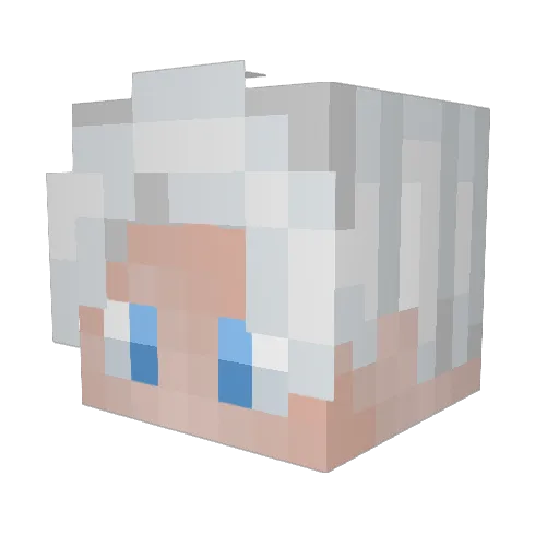 VADDER70 Minecraft avatar head, 3D render