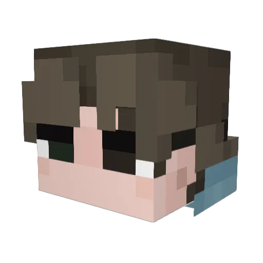 VADm121 Minecraft avatar head, 3D render