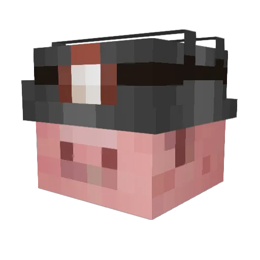 VAGINOSFAIRE Minecraft avatar head, 3D render