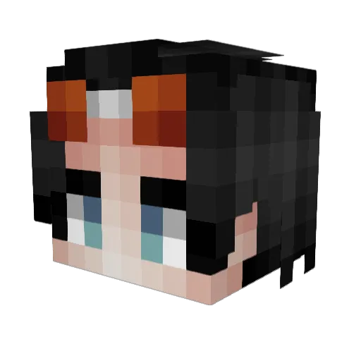 VAL69696969 Minecraft avatar head, 3D render