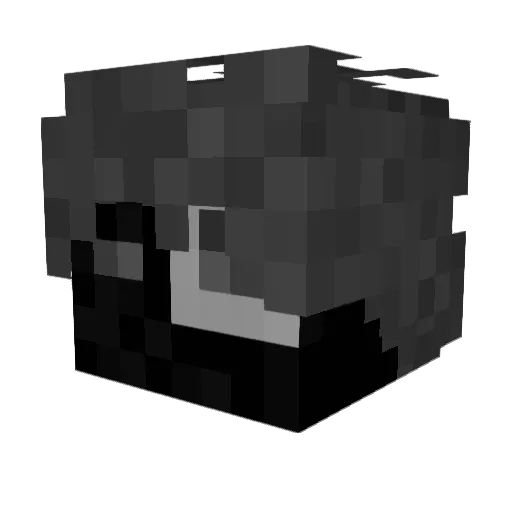 VALIDVENOMTOTHAH Minecraft avatar head, 3D render