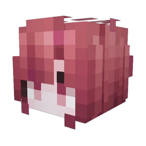 VALINE301 Minecraft avatar head, 3D render