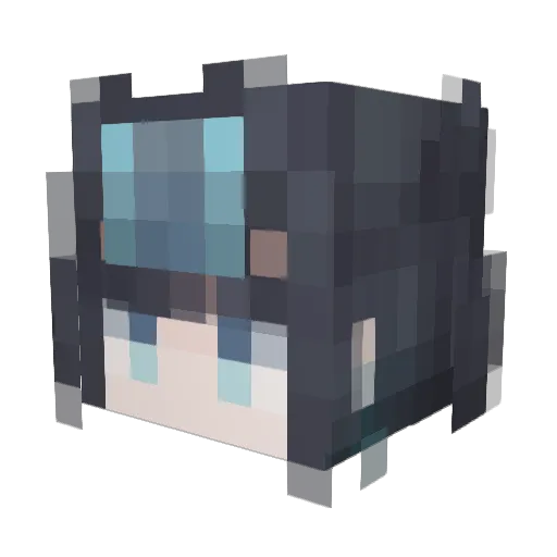 VALKYRiE_5313 Minecraft avatar head, 3D render