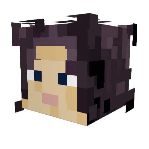 VALOELOELOE Minecraft avatar head, 3D render