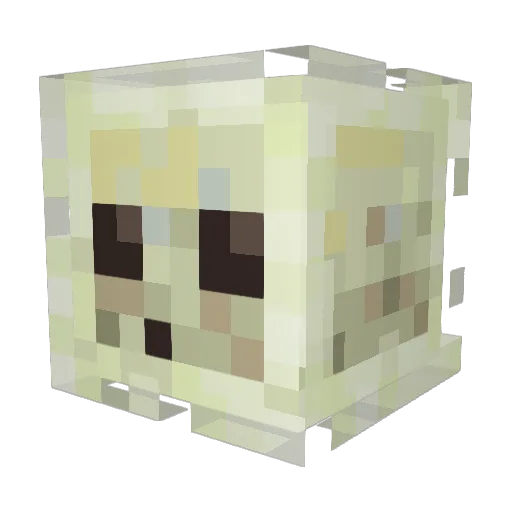 VAN7SH Minecraft avatar head, 3D render