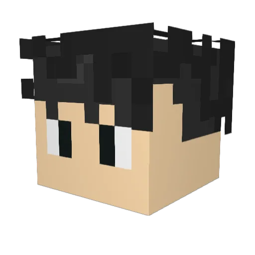 VANACER Minecraft avatar head, 3D render