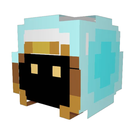 VANDUGAR_spectre Minecraft avatar head, 3D render