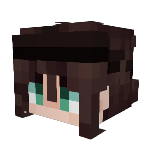 VANnevar Minecraft avatar head, 3D render
