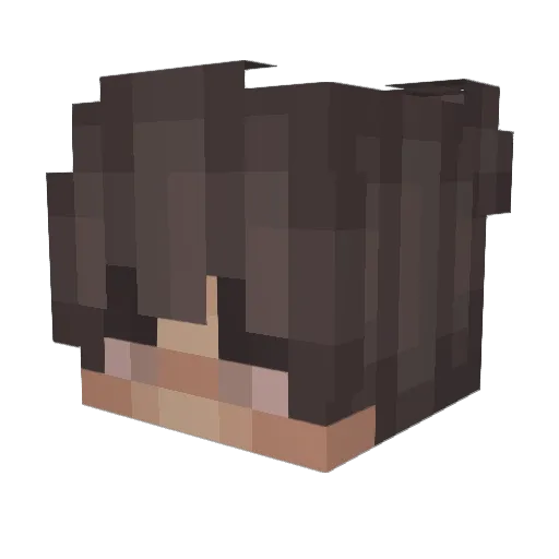 VAX4O_ Minecraft avatar head, 3D render