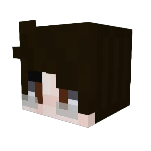 VAYPESH Minecraft avatar head, 3D render