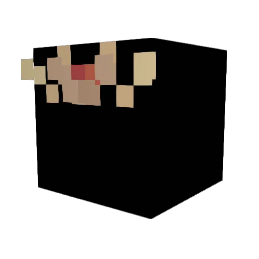 VAZONKA Minecraft avatar head, 3D render